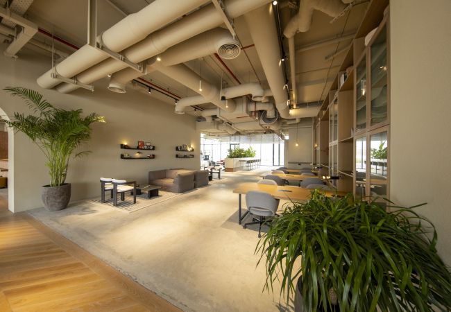 Studio in Dubai - Modest studio in upside living (Business Travel ready)